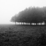 photo-by-pheobe-riley-law